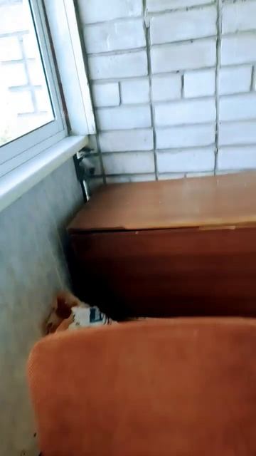 Я уже уехала из Казани( смотреть онлайн