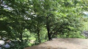 Pine River -горный отель в пгт. Красная Поляна, г. Сочи. Экскурсия онлайн для Тебя!