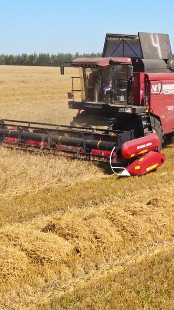 Обновленный комбайн Гомсельмаш комбайн сельхозтехника сельскоехозяйство гомсельмаш ростсельмаш