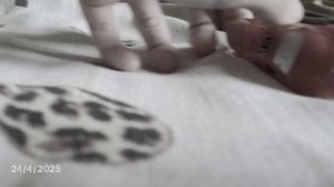 обычная видео :)