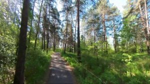 Ролики, Заельцовский парк, г. Новосибирск