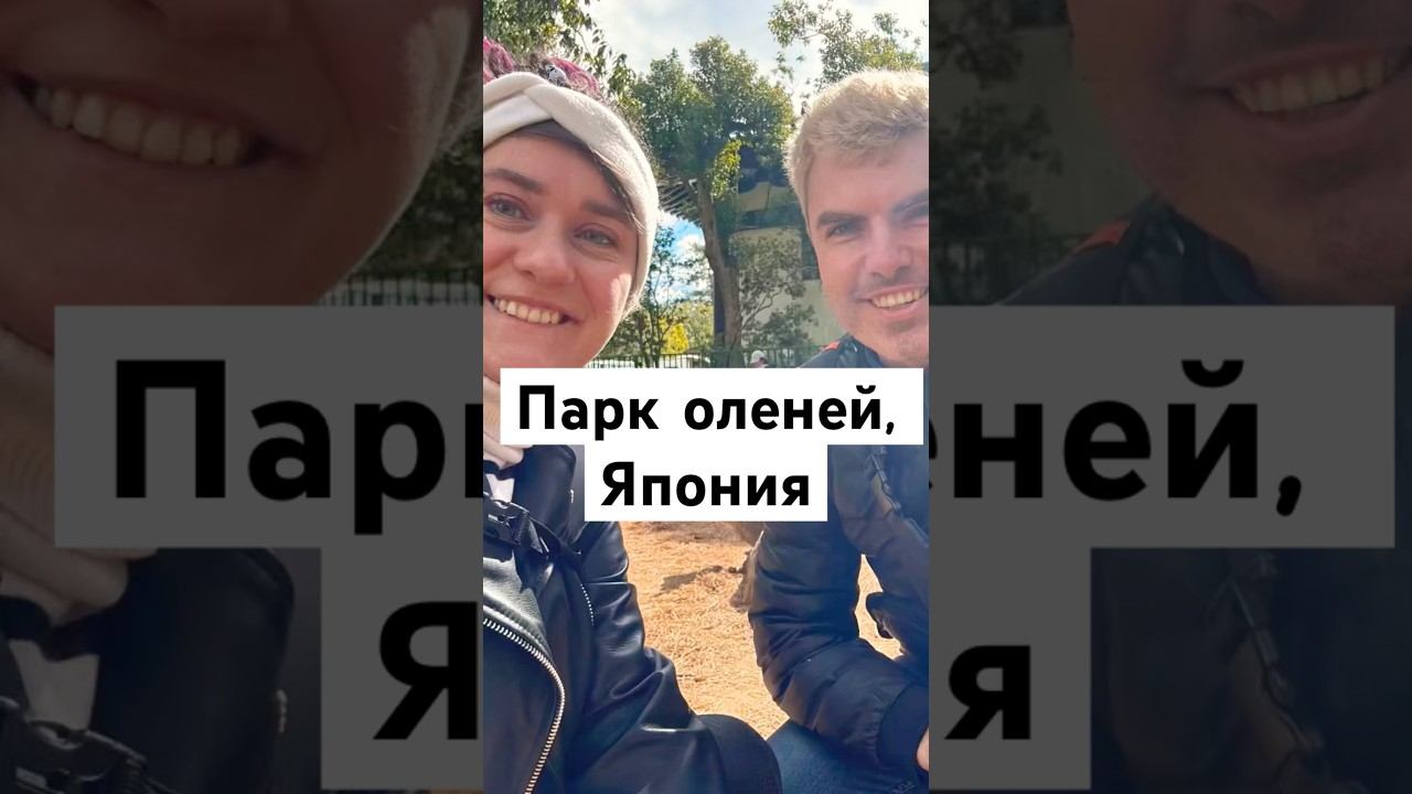 Парк оленей #нара #олени #япония смотреть онлайн