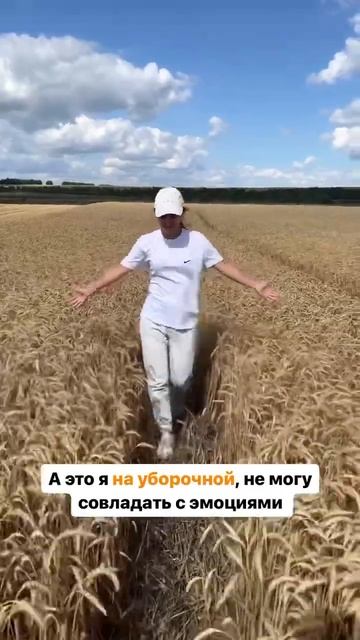 Урожай 2023 ❤️ #сельскоехозяйство #кфх #сельхозтехника #shortvideo #ферма #фермер #семейноедело
