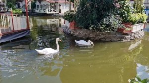 Уфа парк им. М.Гафури. ресторан "у озера".