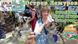 Остров с Лемурами, Зоопарк Кхао Кхео Таиланд, как Забавные Лемуры едят с рук смотрите на Рутуб