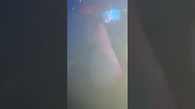 Элимдар Алтун. Ресторан Диана смотреть онлайн