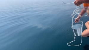 Байкал/Листвянка/Иркутск/Полёт с парашютом/Парасейлинг/Экскурсия/