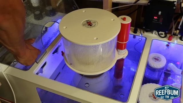 Video Review of Royal Exclusiv Dreambox Sump смотреть онлайн