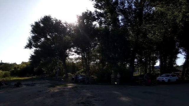 Вырубка рощи - 14/06/2019 смотреть онлайн