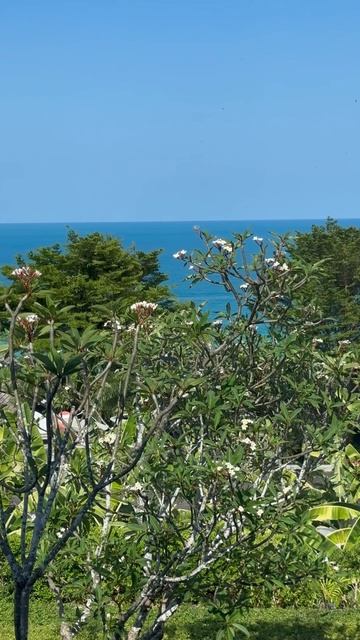 Hotel Sheraton Samui Resort. Отель Шератон. Самуи. Таиланд. #samui #thailand #hotel