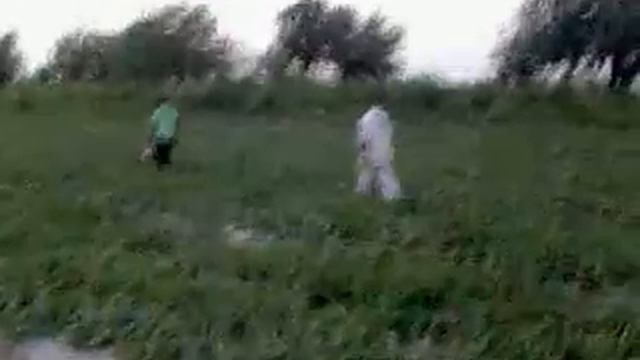 Арбузная плантация! Таджикистан, Кумсангир. смотреть онлайн