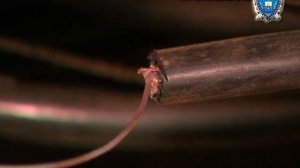 Кража кабеля на Мирном