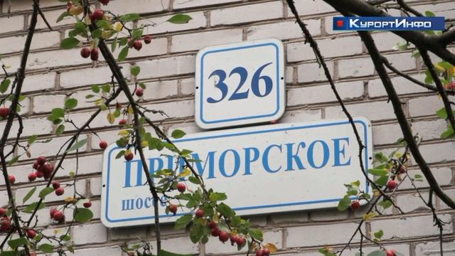 При содействии Александра Ваймера выделят деньги на замену окон в двух домах Сестрорецка смотреть онлайн