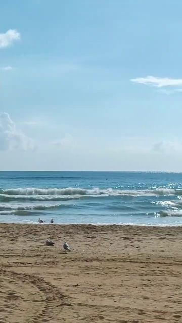 Пляхо. Море 06.08.2024 г. смотреть онлайн