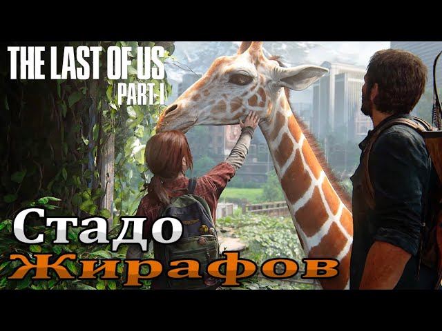 Автопарк ➤ The Last of Us Part I | Один из нас 1 — Прохождение [#12]