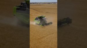 Испытание комбайна ZOOMLION TF150