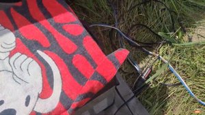 Гуселетово июль 2024