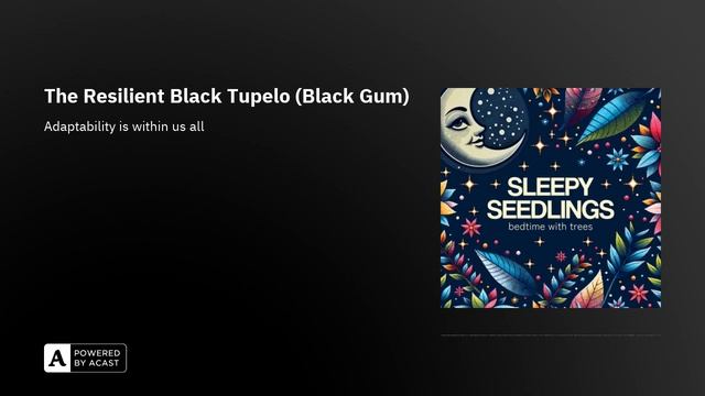 The Resilient Black Tupelo (Black Gum) смотреть онлайн