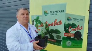 Стевия отзыв2