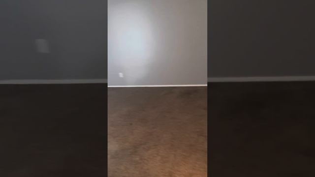 1b апартаменты Сакраменто за 1750 $ без документов смотреть онлайн