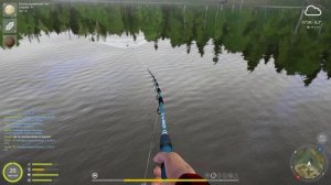 рр4 белый амур на остроге