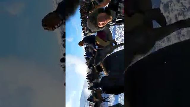 9 февраля 2019 г. смотреть онлайн