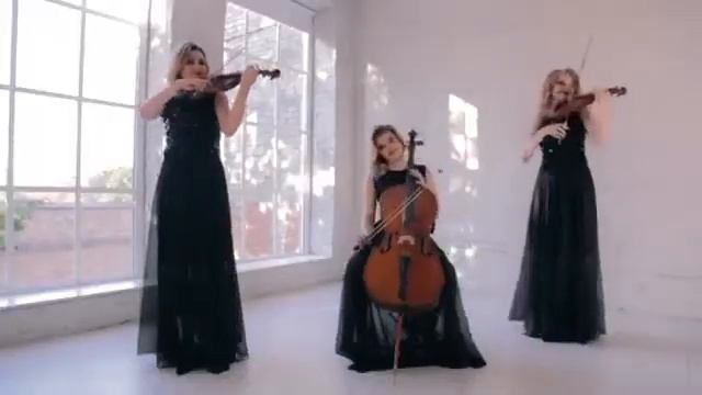Струнное трио, встреча гостей