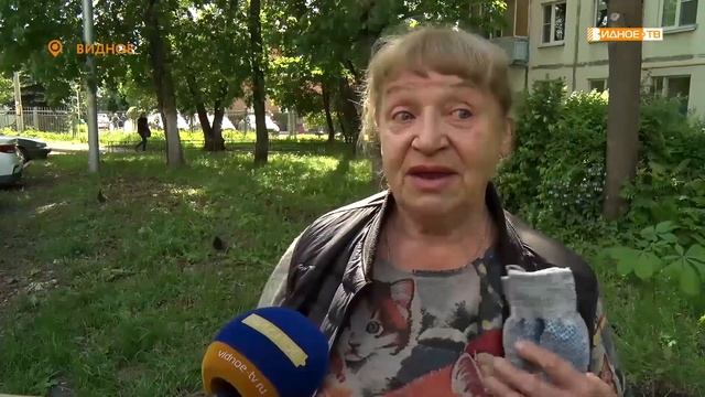 ЛЕС ПОБЕДЫ смотреть онлайн