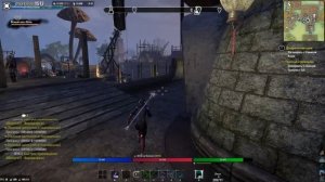 The ESO Morowind part № 15