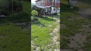 Гостевой дом ( Соль-Илецк)