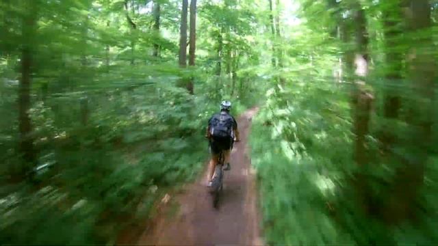 Харьков. Лесопарк. 25.06.2017 смотреть онлайн