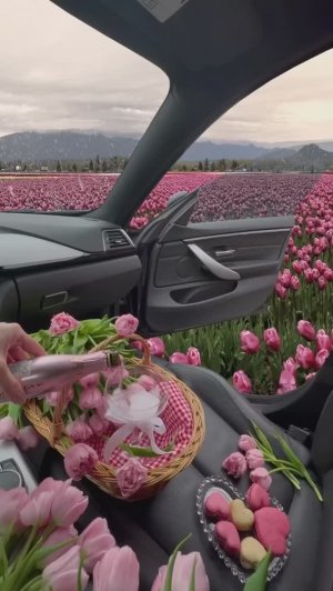 Не бойся, двери счастью - отвори! Авторское произведение Сергея Климухина (Сармат).