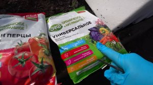 Сарай готов🐥🐤 Подкормила все в теплицах🍅🌶 Что делать с каналом 🙄Жизнь в станице🏠