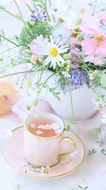 22 апреля 2024 г. смотреть онлайн