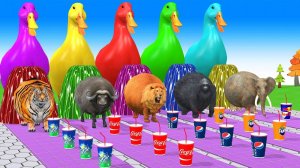 ДРУЖНЫЕ ЖИВОТНЫЕ ПРОХОДЯТ ЗАДАНИЕ