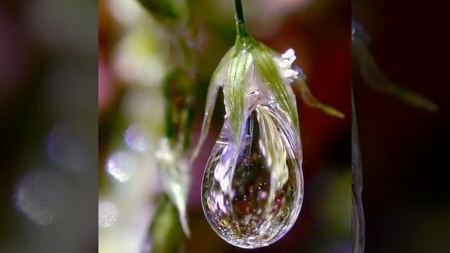 Аркадий Кобяков (cover )*Ты стоишь одна у парапета*