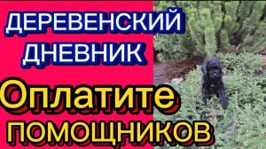 "ДАЙТЕ НА ПОМОЩНИКОВ" ДЕРЕВЕНСКИЙ ДНЕВНИК ОЧЕНЬ МНОГОДЕТНОЙ МАМЫ.