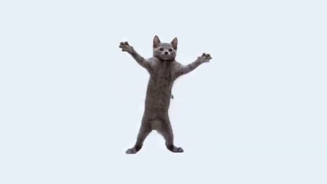 Весёлый котик танцует 1 час и 5 секунд в подарок.