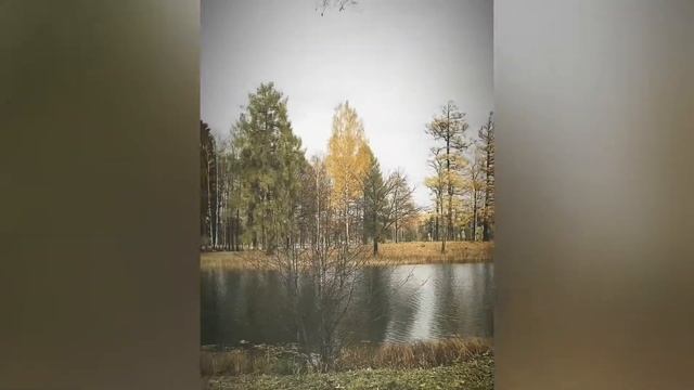 Гатчина / Октябрь 2019 смотреть онлайн