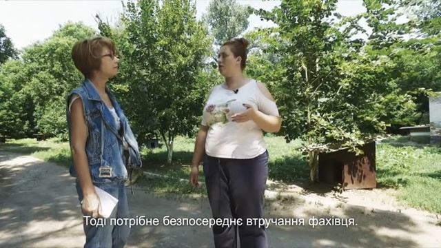 Притулок для тварин. Кропивницький | Своя земля смотреть онлайн