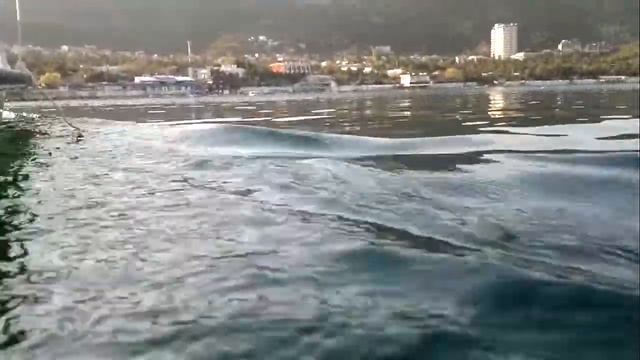 Гребем на катамаране смотреть онлайн