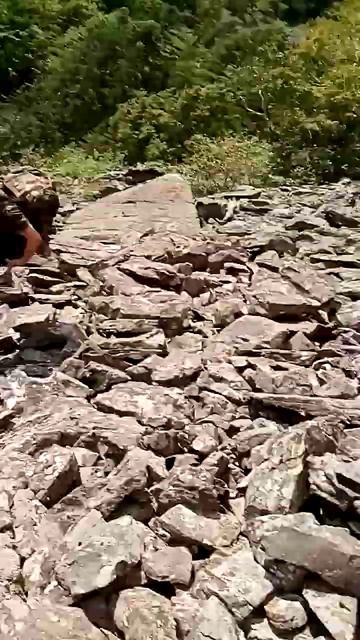 Тайга приморье! смотреть онлайн