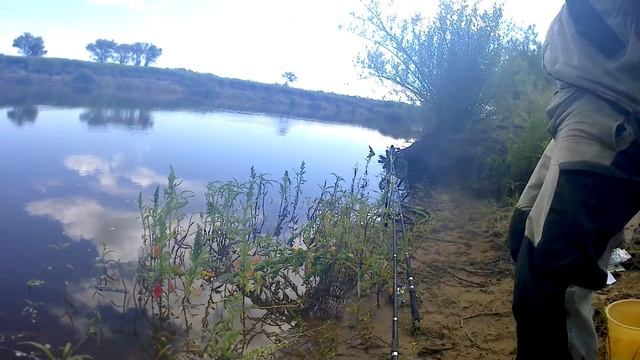 Рыбацкие будни #5 Ловим Сазанов. смотреть онлайн