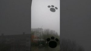 Ужасти 😱😱😱