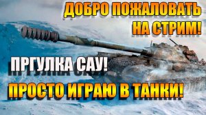 Прогулка САУ в Мир Танков! 🚀🚀🚀