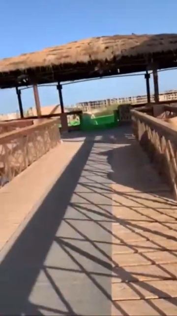 Jungle aqua park 4* Хургада смотреть онлайн