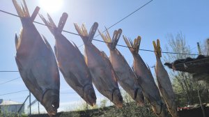 А почему бы и нет)