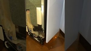 Добрый день Вопрос с посудомойкой zigmund shtain Частный дом...