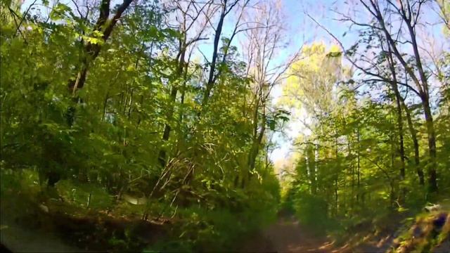 ЛЕСНАЯ ДОРОГА. МИКАЭЛ ТАРИВЕРДИЕВ. МЕЛОДИЯ ИЗ ФИЛЬМА "17 МГНОВЕНИЙ ВЕСНЫ" смотреть онлайн