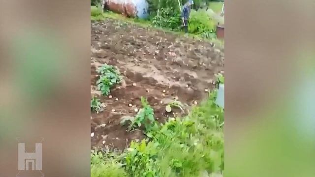 Народный патруль 23.08.22г. смотреть онлайн